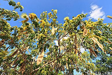 《FIFA 23》PC版将为本世代版本 支持跨平台游戏